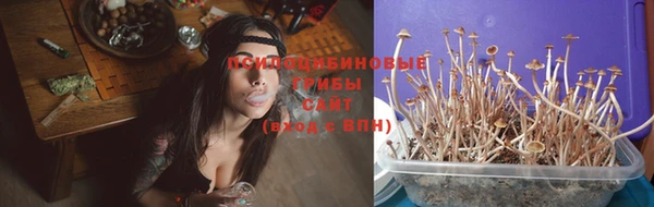 кокс Алексеевка