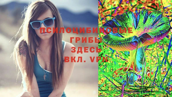 a pvp Алексин