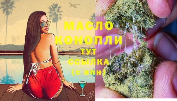 ешки Новодвинск