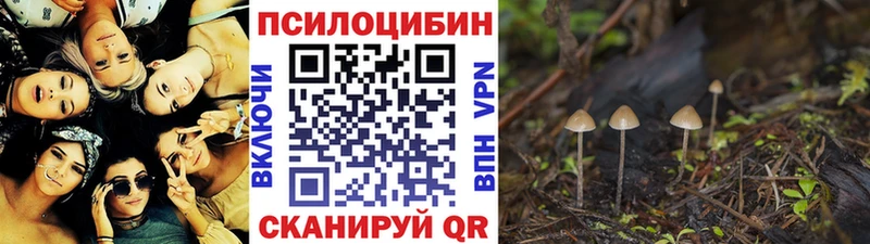 ссылка на мегу зеркало  Михайловск  Галлюциногенные грибы мицелий  закладка 